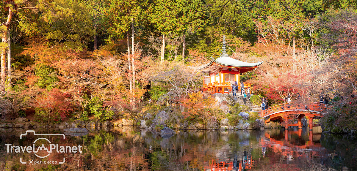 055-JapanRedLeaf-0949-Panorama