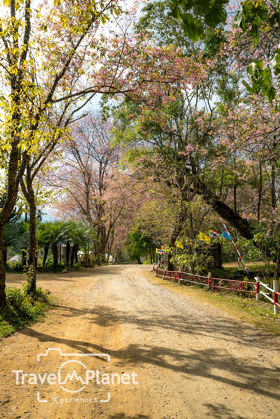 065-Chiangrai-0843