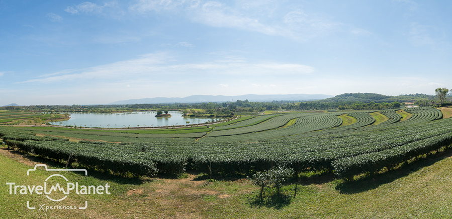 088-Chiangrai-1068-Pano