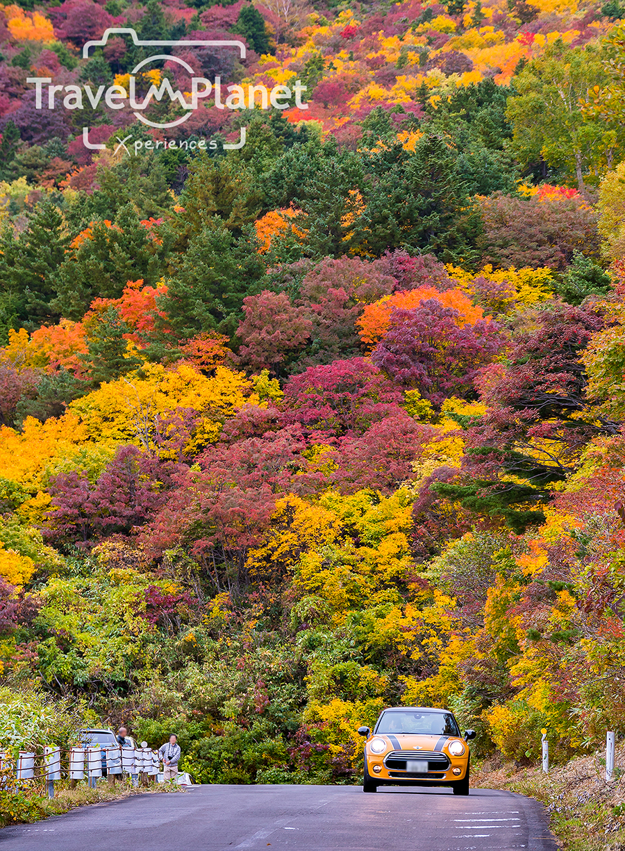 ฟุกุชิมะ Fukushima ใบไม้แดง Autumn