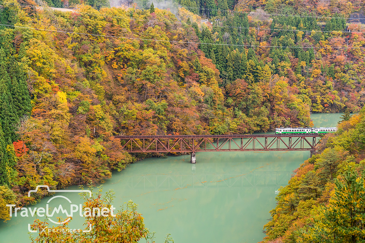 ใบไม้แดง Fukushima Koyo Tadami Hayato