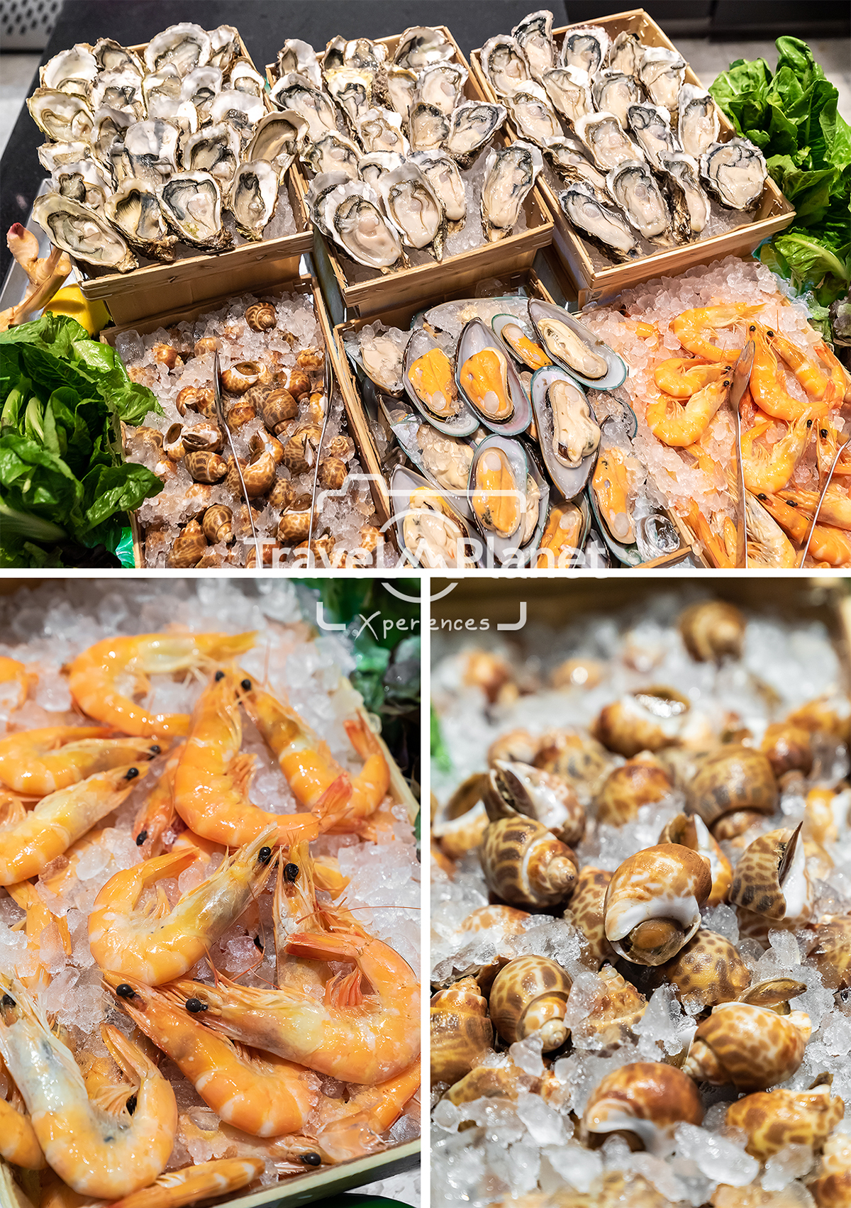 Premium Seafood BBQ Alaskan King Crabs - Pullman Bangkok King power - seafood on ice